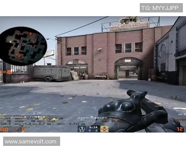 陈芳专访：从新手到高手的CSGO成长之路与心路历程回顾