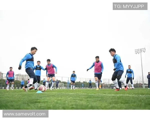 重磅专题：成都排球队如何实现反击战术的全面革新与突破