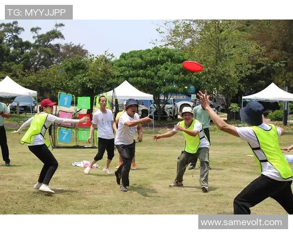 飞盘力量榜单揭晓北京飞盘队荣获第三名展现实力与团队精神
