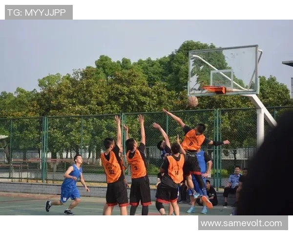 浙江与北京篮球对决分析让分情况及投注策略探讨