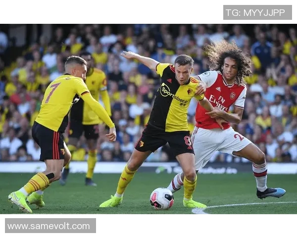 诺维奇与女王巡游的精彩对决比分分析与赛后点评