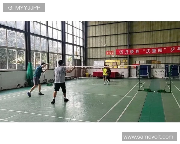 重庆羽毛球队的整体压制揭秘与深度分析探讨羽毛球竞技的魅力与挑战