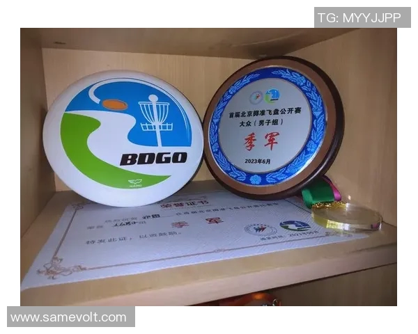 飞盘竞技的魅力：深入了解南京飞盘队的默契配合与战术策略